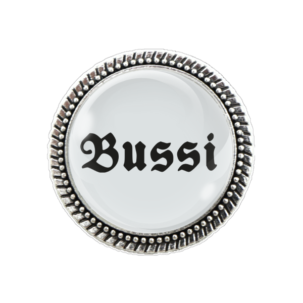 Gaudi-Brosche 