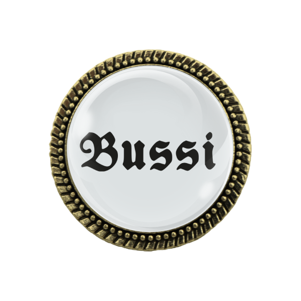 Gaudi-Brosche "Bussi" in bronze, Trachtenschmuck