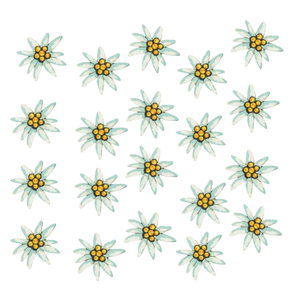 Streudeko Edelweiss Alpenblume Oktoberfest